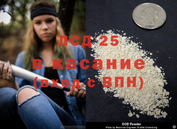 прущие грибы Абинск