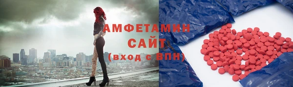 прущие грибы Абинск