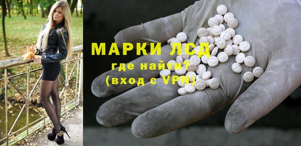 прущий лед Алзамай
