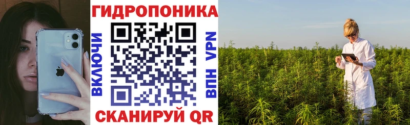 Конопля гибрид Знаменск